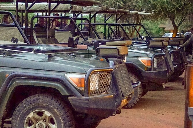 Safari Game Drive: Dinokeng Game Reserve - What To Expect