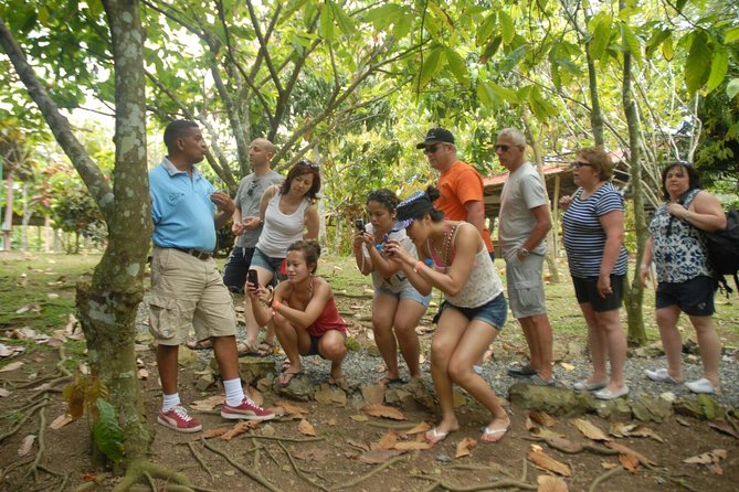 Safari Tour From Punta Cana - Tour Details