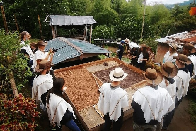 Salento and Cócora Tour Plus Coffee Farm From Pereira or Armenia - Pricing and Booking Details