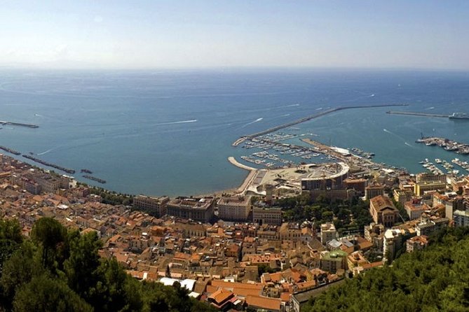 Salerno Shore Excursion: Private Pompeii Tour - Tour Highlights