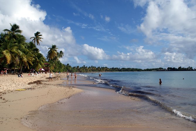 Salines Beach With a Rum-Distillery Stop - Itinerary Details