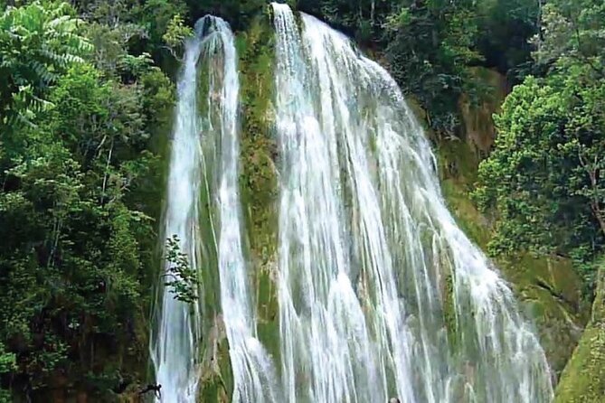 Samaná Full-Day Cultural Adventure Tour From Santo Domingo - Itinerary Highlights