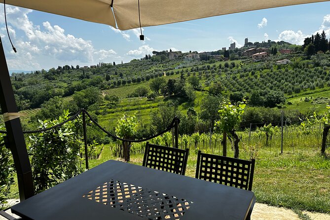 San Gimignano Afternoon Vineyard Break - Behind-the-Scenes Insights
