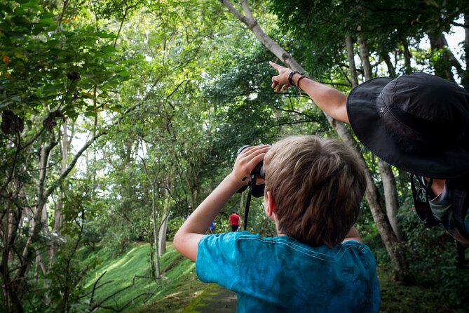 San Jose Walking Nature Tour: Sloths, Birds and Trees - Traveler Photos and Reviews