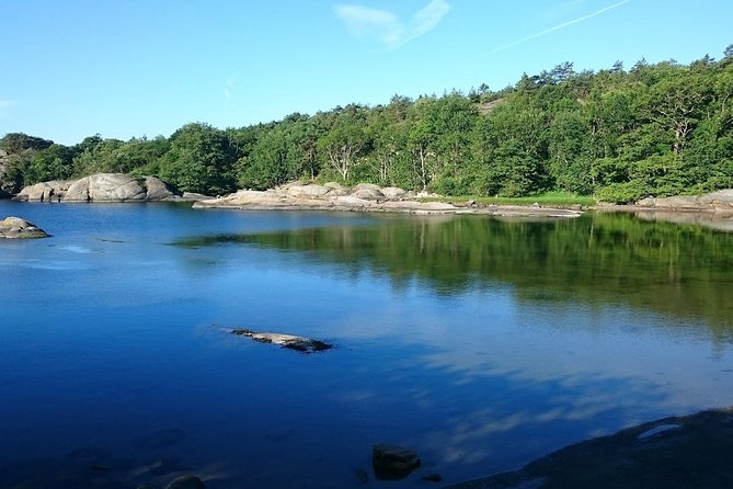 Sandefjord Private Transfer From Sandefjord (Trf) Airport to City Centre - Pricing and Booking