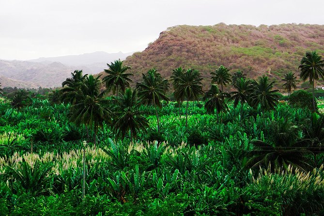 Santiago Island: Banana Plantation, Natural Park & Workshop With a Local Family - Tour Overview