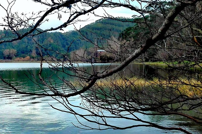 São Miguel Island Private Half-Day Furnas and Hot Springs Tour  - Ponta Delgada - Inclusions and Exclusions