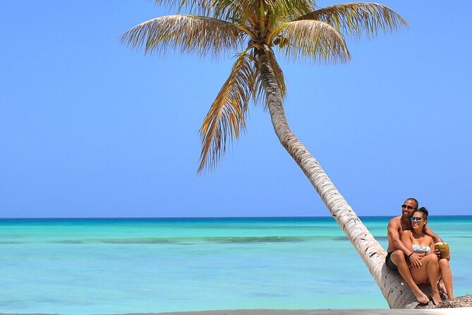 Saona Island Tour: All Buffet, Speedboat Catamaran - Itinerary Details