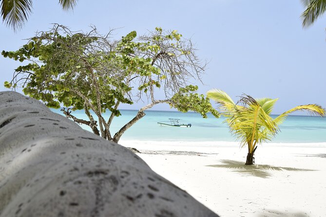 Saona Island Tour - Full Day From Punta Cana Buffet and Drinks - Pickup and Cancellation