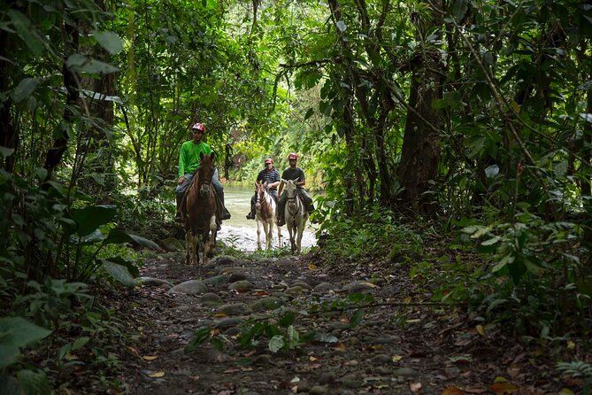 Sarapiqui Forest Horseback Riding Experience in Costa Rica - Experience Overview