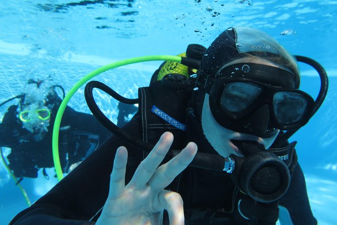 Scuba Diving Courses or Try Diving PADI or SSI - PADI Vs. SSI Certification