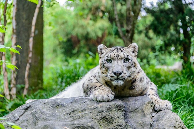 See 30 Top New York Sights (Walking Tour) & Visit Central Park Zoo. - Meeting Point and Itinerary