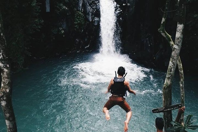 Sekumpul and Aling-Aling Waterfalls Private Tour With Jumps  - Nusa Dua - Meeting and Pickup Details