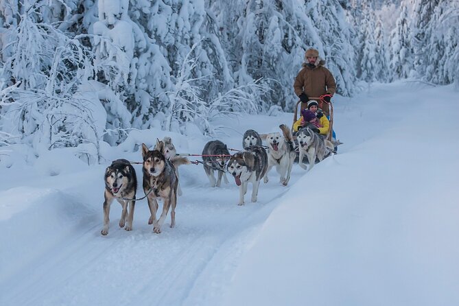 Self-Driving Husky Sledding Experience in Levi - Pickup Information