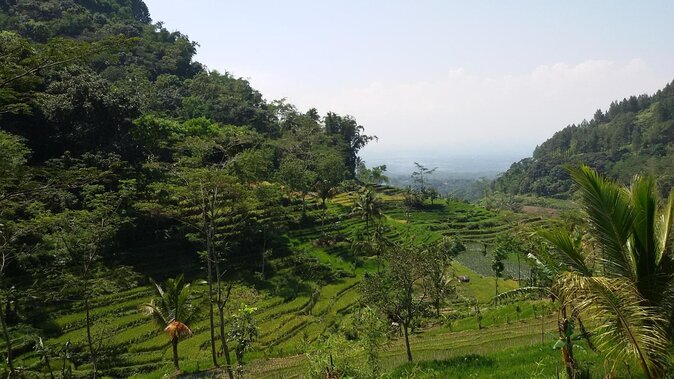 Selogriyo Temple and Trekking Java Rice Terraces, Hidden Waterfall -Nature Java - Hidden Waterfall Exploration