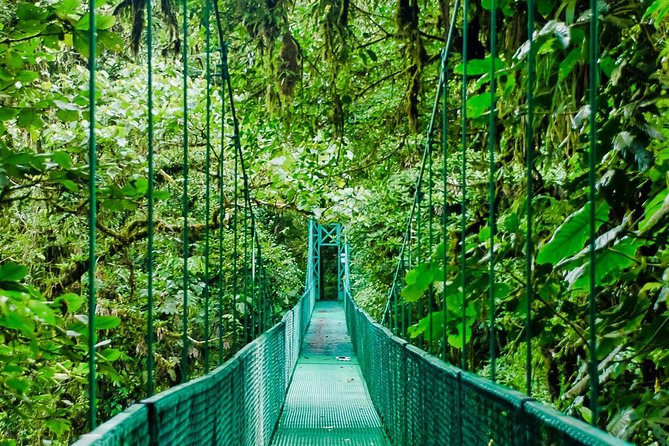 Selvatura Park Hanging Bridge Tour in Monteverde - Tour Highlights