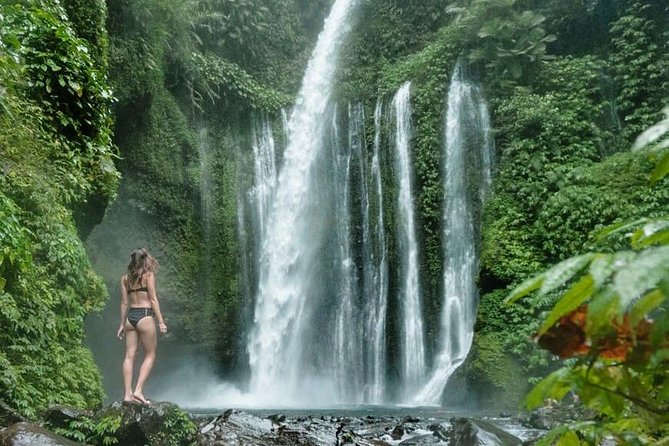Sendang Gile & Tiu Kelep Waterfall Tour - Reviews
