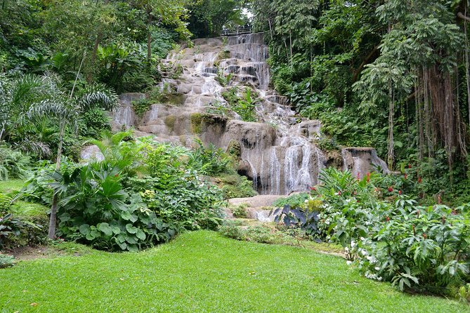 Shared Konoko Falls and Tropical Garden Tour From Runaway Bay - Booking Details