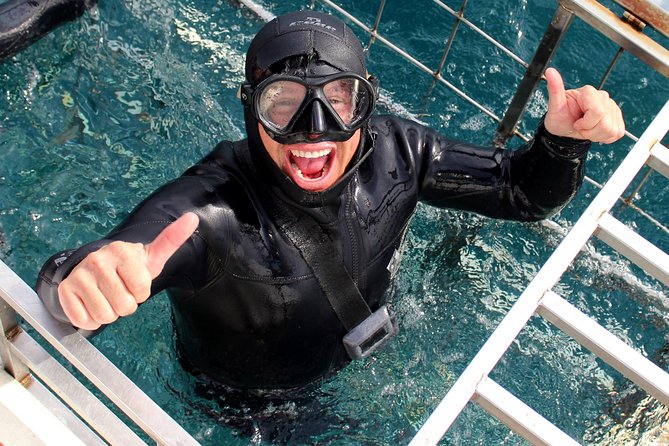 Shark Cage Diving and Viewing With Transport From Cape Town - Pre-Trip Briefing and Preparation
