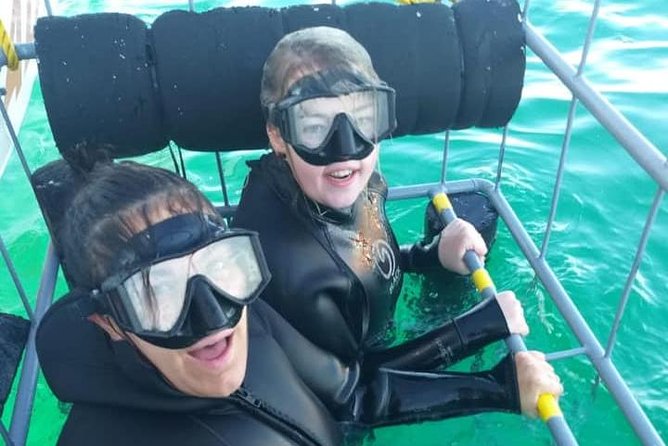 Shark Cage Diving - Questions and Help Center