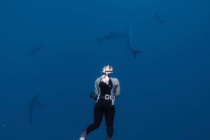 Shark Diving and Snorkeling in Oahu Hawaii - Whats Included