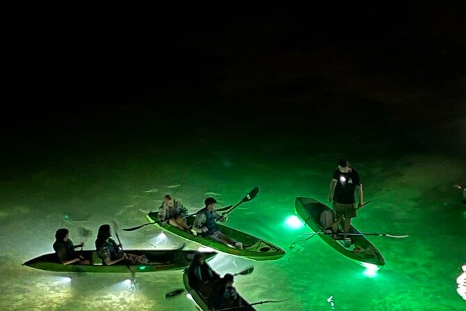 Sharkeys LED Glass Bottom Fish Feeding Night Tour in Clearwater - Safety Equipment Provided