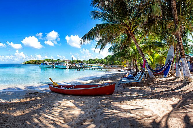 Shore Excursion: Roatan East West Private Half-Day Island Tour - Inclusions