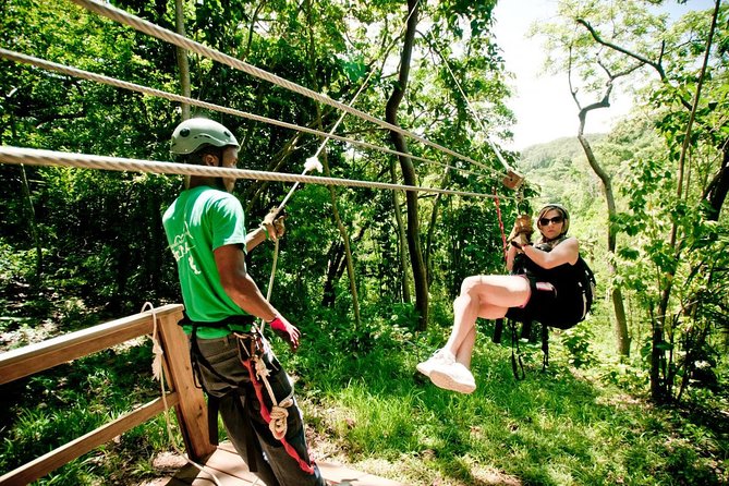 Shore Excursion: Roatan Zip Line & Snorkel Adventure With Lunch - Inclusions and Whats Provided