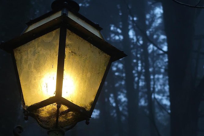 Sintra, Apparitions and Stories From the Mountains - Private Night Walk - Weather and Conditions