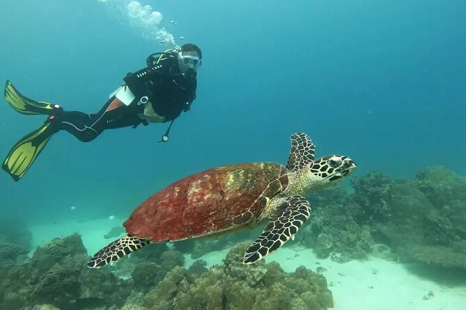 Siquijor Scuba Diving for Beginners - Meeting Point and Start Time