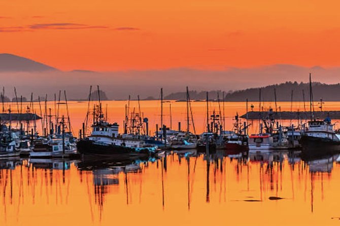 Sitka Shore Excursion: Sitka Harbor & Islands Guided Kayaking - Experience Expectations
