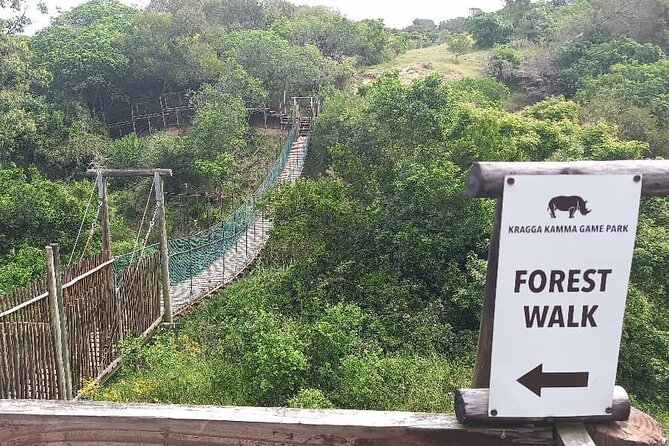 Skip the Line: 2-Hour Guided Game Drive at Kragga Kamma Game Park Ticket - Traveler Photos of Game Drive Experience