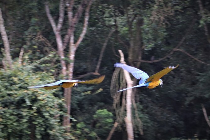 Skip the Line: Birds of Eden Admission Ticket - Overview of Birds of Eden