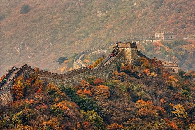 Skip-The-Line Private Layover Tour to Mutianyu Great Wall and Forbidden City - Tour Highlights and Inclusions