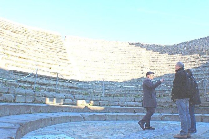 Skip-The-Line Shore Excursion From Naples Cruise Port to Pompeii & Herculaneum - Excursion Inclusions