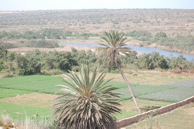Small Desert in 4x4 - Required Gear and Preparations