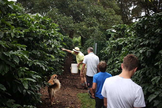 Small Group Coffee Tour (Minimum 2 People) - Whats Included and Pricing