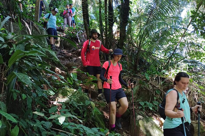 Small Group Hike to Saco Bravo Waterfall - Whats Included in the Tour