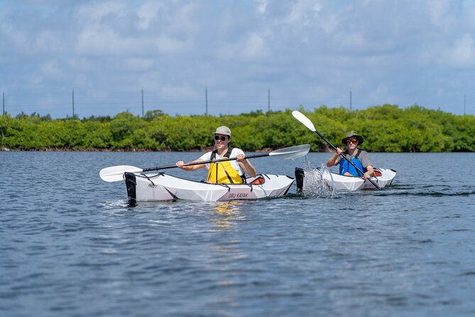 Small Group Kayak Adventure in the Cayman Islands - Essential Information