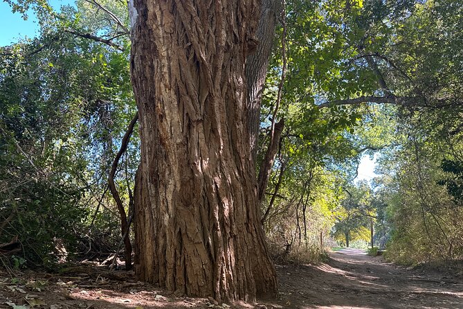 Small Group Scenic Waco Hiking Tour - Tour Duration and Schedule