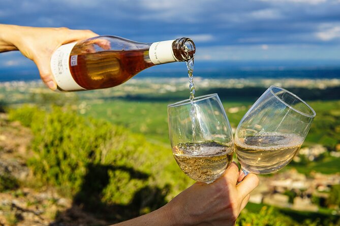 Small Group Tour to Stellenbosch With Wine Tasting - Expertly Planned Itinerary With Transport Included
