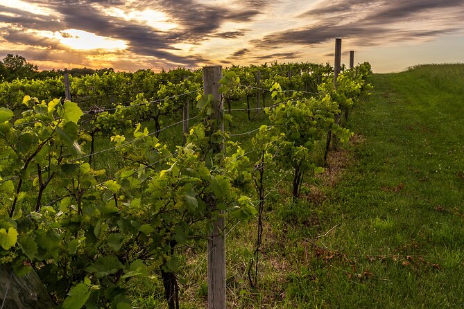 Small-Group Vineyard and Orchard Tour With Wine Tasting in Muscoda - Meeting and Pickup Details