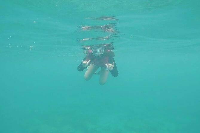 SNORKEL the BEAUTIFUL Reefs With Turtles, Angelfish, and More! - Thermal Protection Option Available