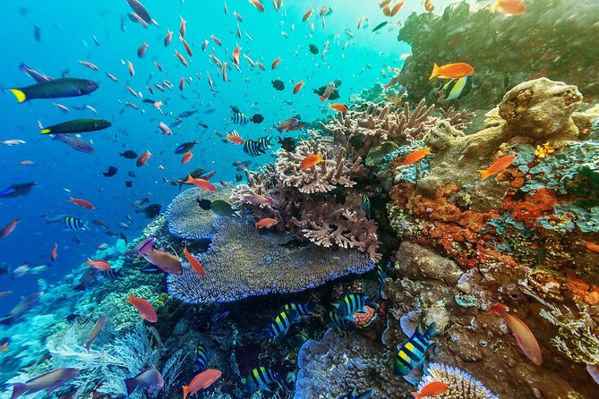 Snorkeling Adventure With East Nusa Penida Tour All Inclusive - Snorkeling Locations