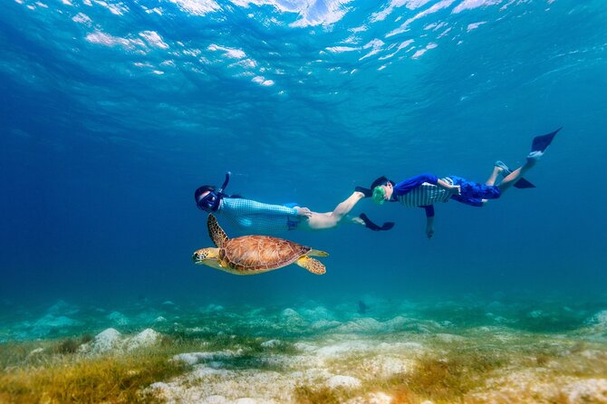 Snorkeling at Hanauma Bay - Traveler Photos and Insights