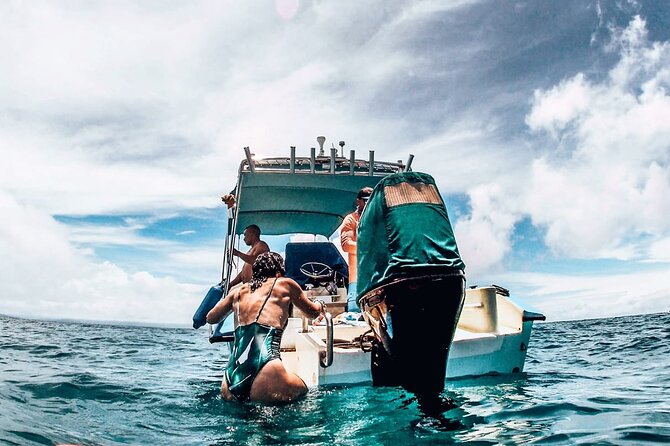 Snorkeling Tour in Caño Island With Lunch - Tour Details and Highlights