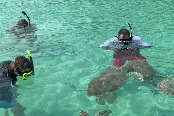 Snorkeling With The Turtles - Accessibility and Health Considerations