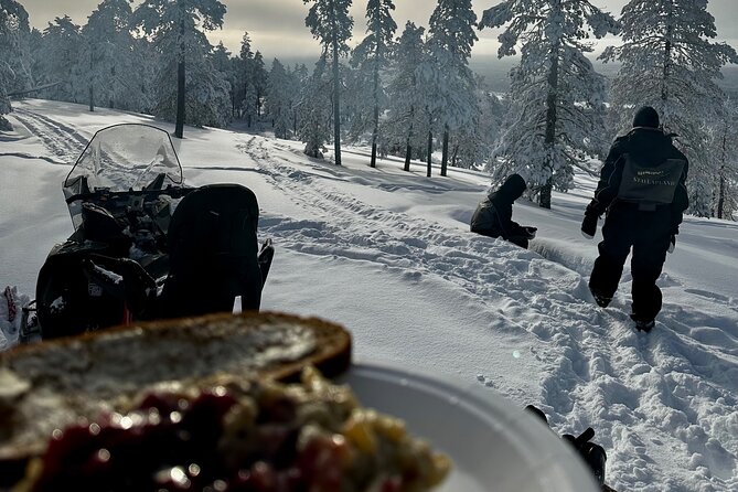Snowmobile Safari to the Wilderness - Date and Travelers