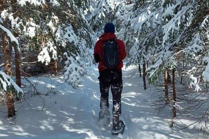 Snowshoe Awenda Provincial Park on Beautiful Georgian Bay - Booking Information