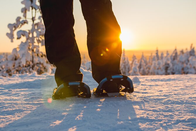 Snowshoe Fun - How to Choose the Right Snowshoes